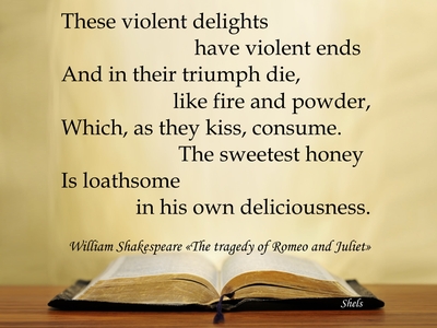These violent delights have violent ends And in their triumph die, like fire and powder, Which, as they kiss, consume. The sweetest honey Is loathsome in his own deliciousness. William Shakespeare «The tragedy of Romeo and Juliet»